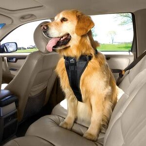 Kurgo Black Dog car safety Harness medium